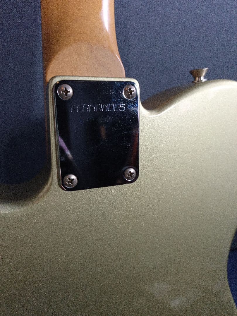 Rz FERNANDES リミテッドエディション テレキャスタータイプ