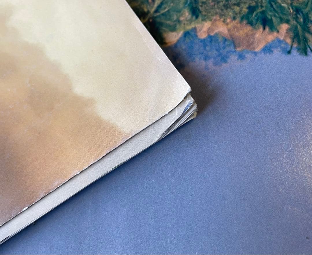 【希少】 パタゴニア patagonia カタログ fall 2002