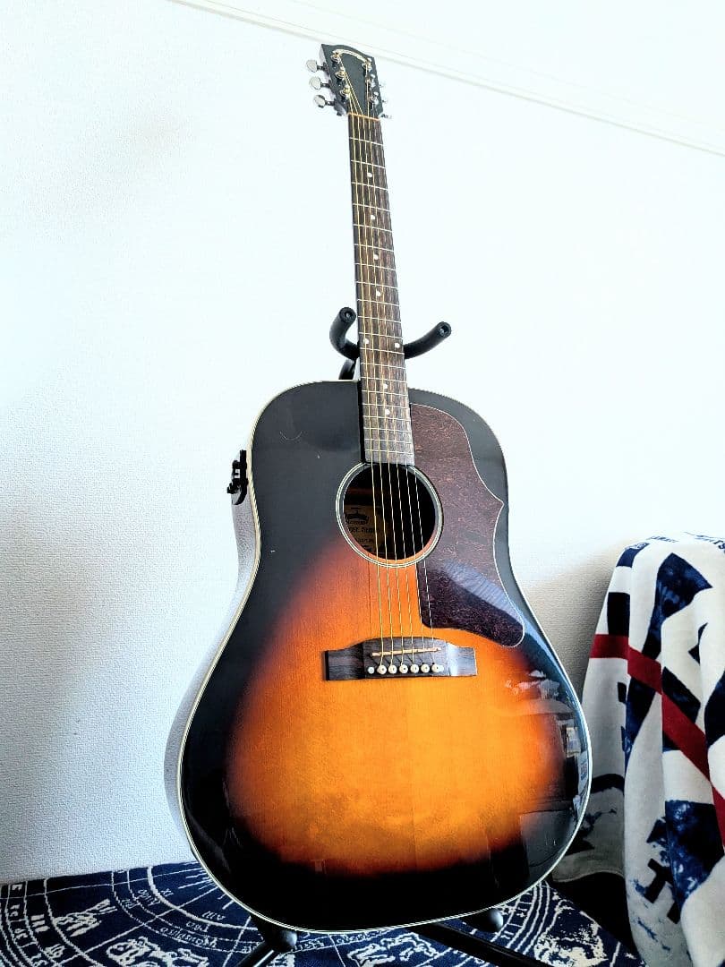 ギター Shirowani65