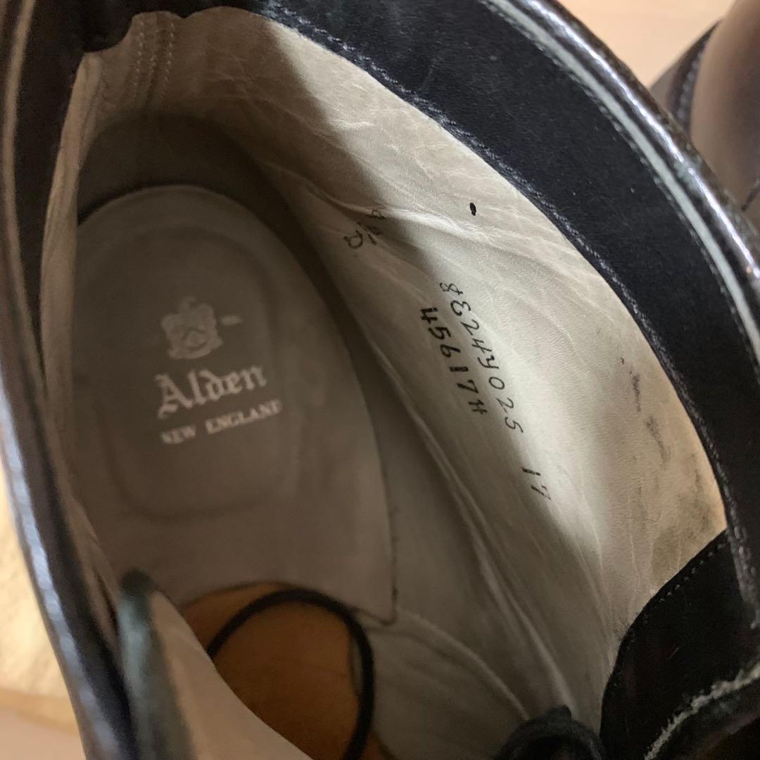 Alden プレーントゥブーツ