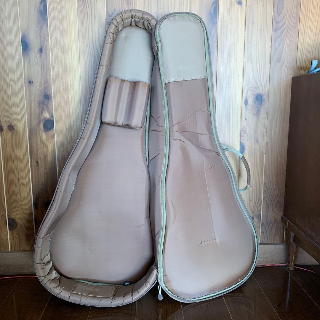 Taylor GS Mini ケース付