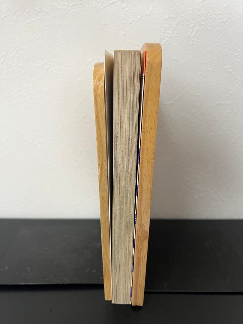 恐竜少女テラノちゃん