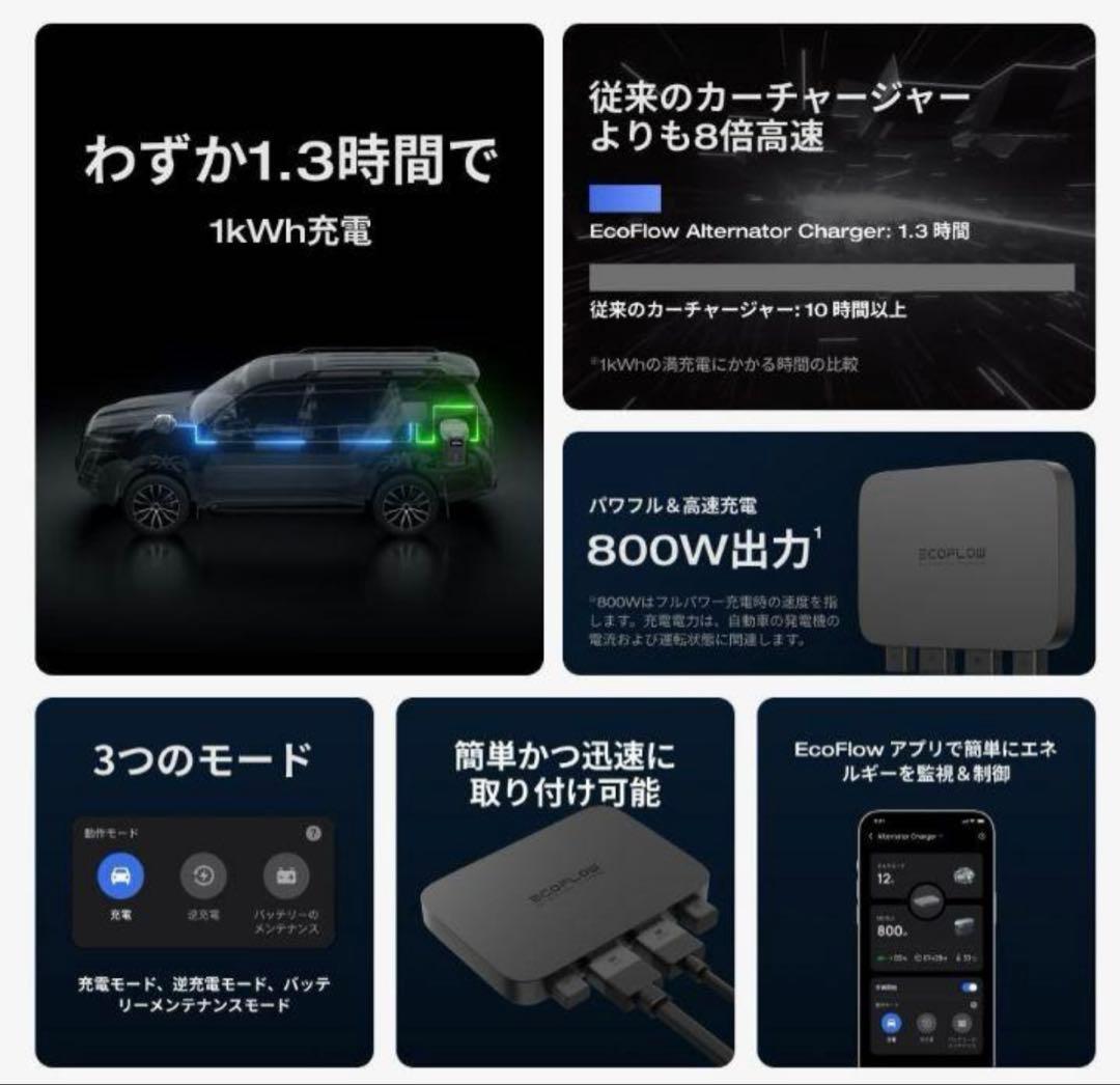 竜で御座います。他の方の落札はご遠慮願います