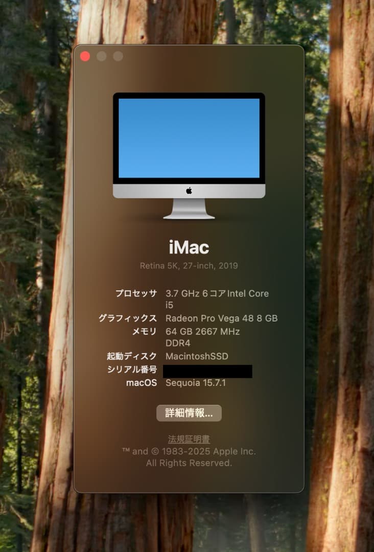 Macデスクトップ iMac 2019 Core i5/64GB/Radeon Pro Vega48