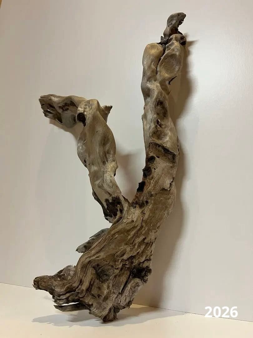 yuma爬虫類ケージ工房様 リクエスト 4点 まとめ商品