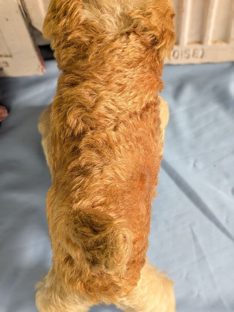 アンティーク ドイツ製 犬 ぬいぐるみ 横幅３０cm