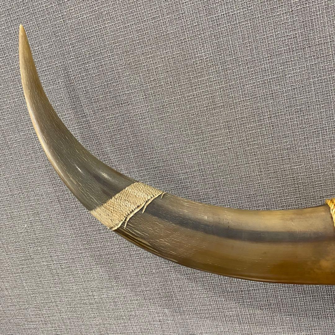 水牛の角　置物　インテリア