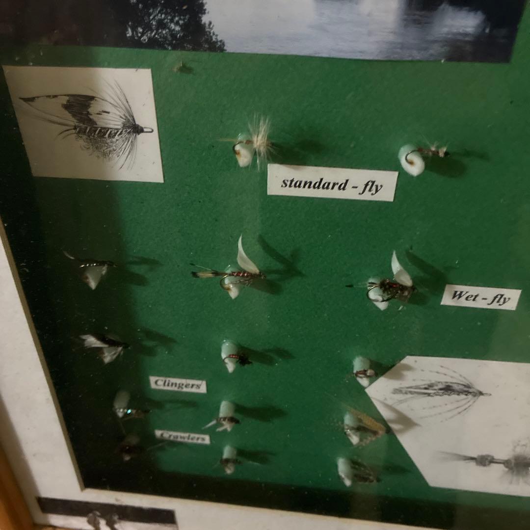 毛針額入り．25個の毛針 渓流釣りに使う毛針の高級額入り。