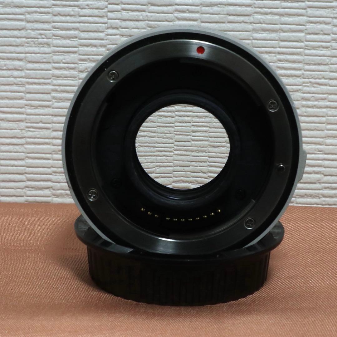 キャノン　エクステンダーEF 1.4x III