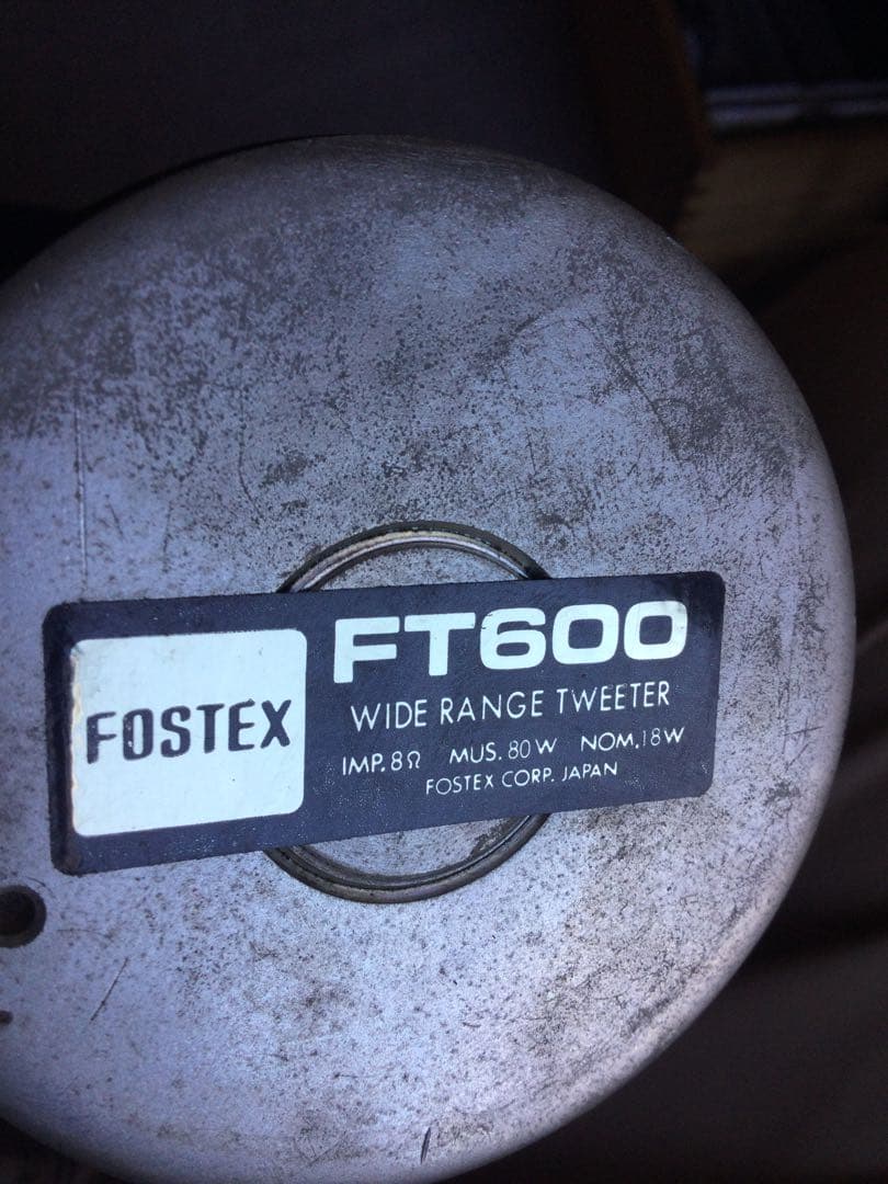 ホーンスピーカー ブラック　ＦＯＳＴＥＸ FT600