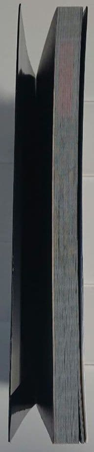 零～濡鴉ノ巫女～コンプリートガイド 初版 希少