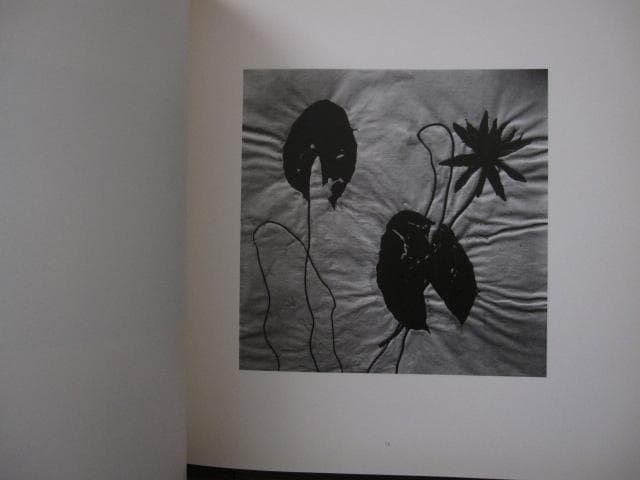 Paul Den Hollander　限定1300部