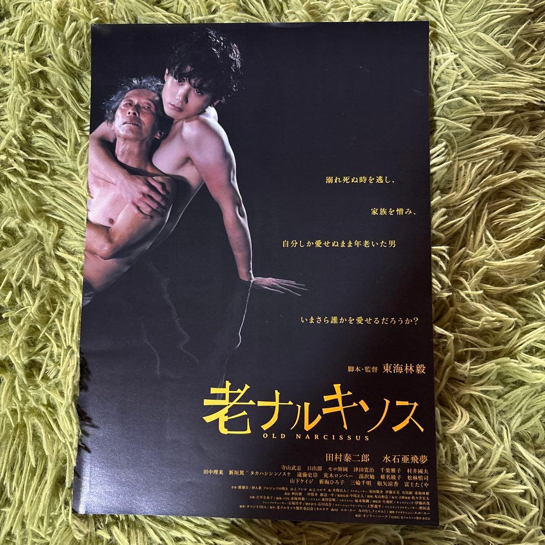 老ナルキソス　いろいろセット