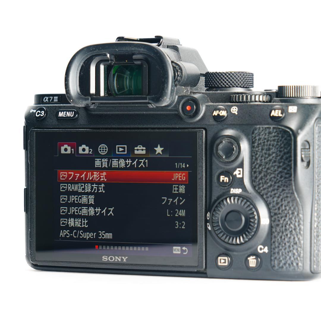 オラのSONY α7III!フルサイズで高画質!まだまだ使えっぞ!