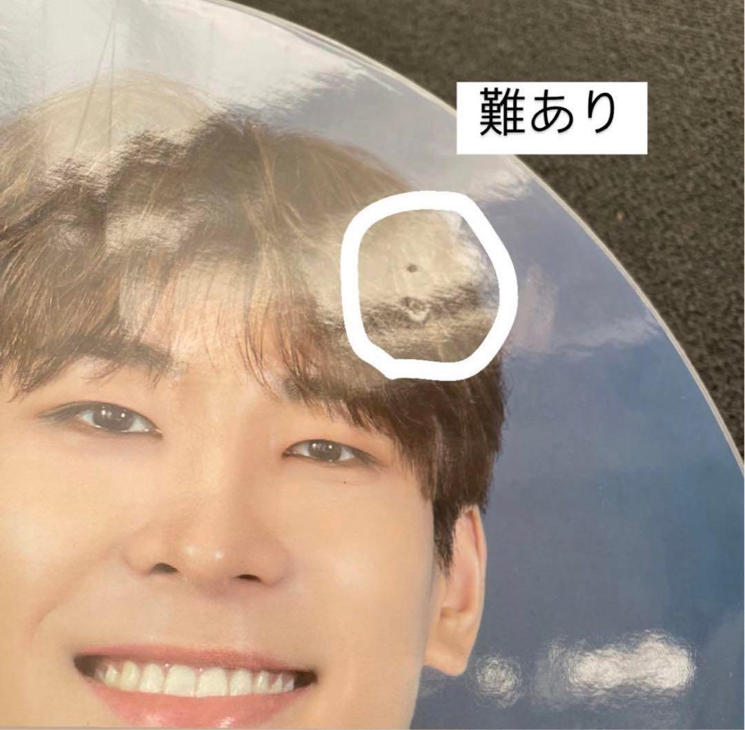 ウォヌ うちわ まとめ売り