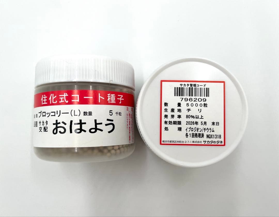 【クリスマスセール】値下げ！ブロッコリー種子（おはよう）5000粒3個セット