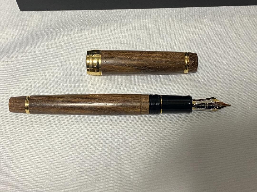 PILOT 万年筆 カスタム槐 ペン種 M