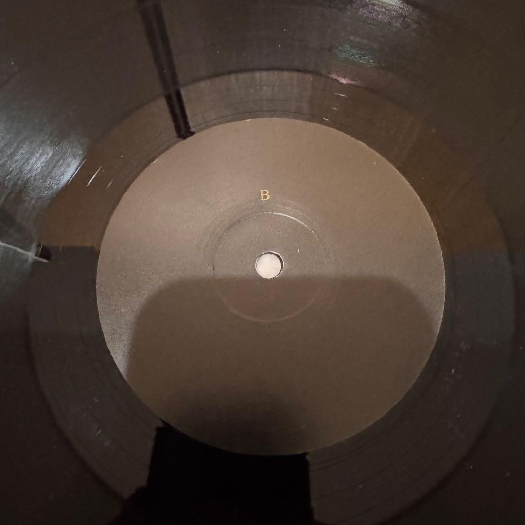 SCORN GYRAL レコード2枚組