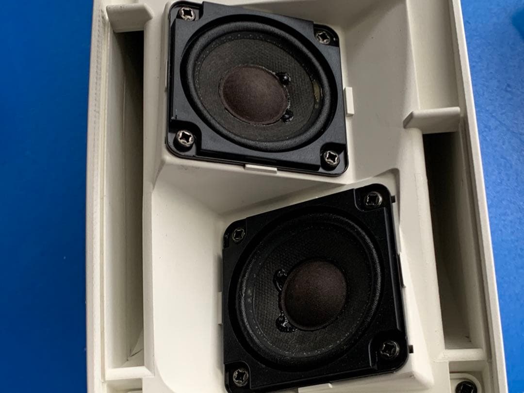 Bose 251 ENVIRONMENTAl SPEAKER 2個