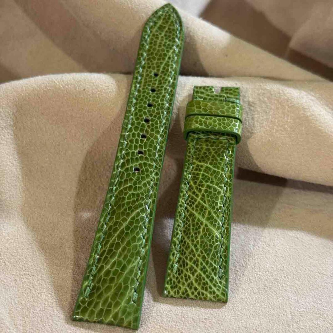 ost-436 オーストリッチ 腕時計ベルト グリーン ラグ幅19mm