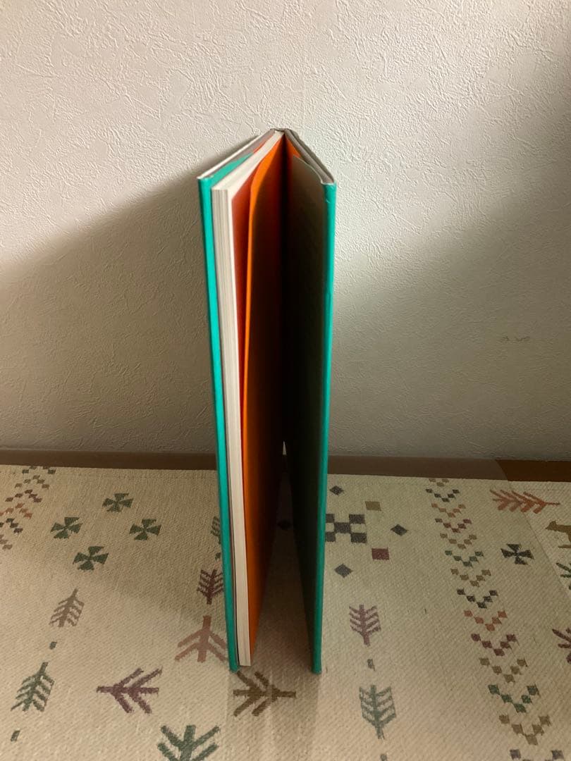 Lee Friedlander リー・フリードランダー 写真集 at work