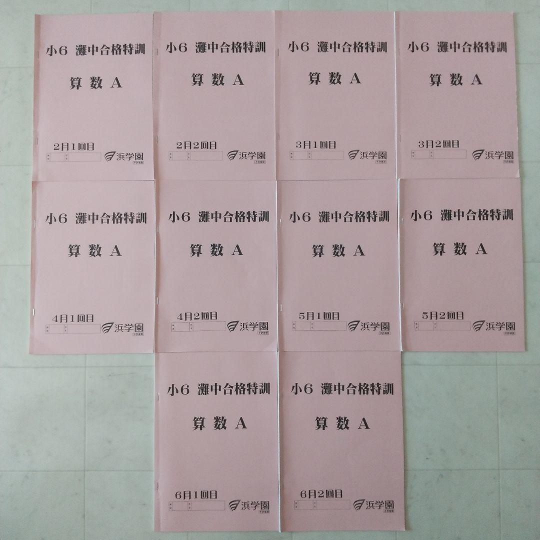 浜学園 小6 灘中合格特訓 国語 算数 理科 フルセット 語句プリント付