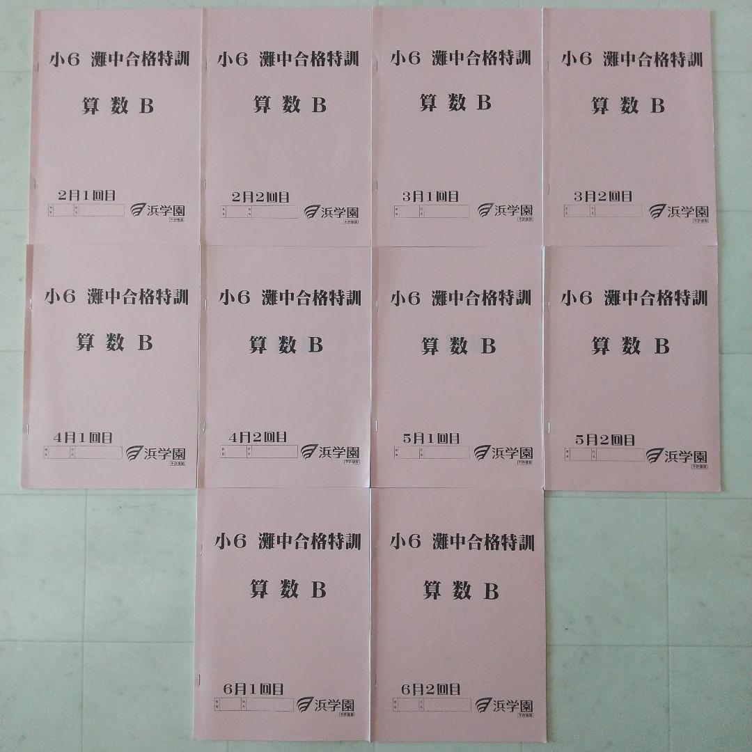 浜学園 小6 灘中合格特訓 国語 算数 理科 フルセット 語句プリント付