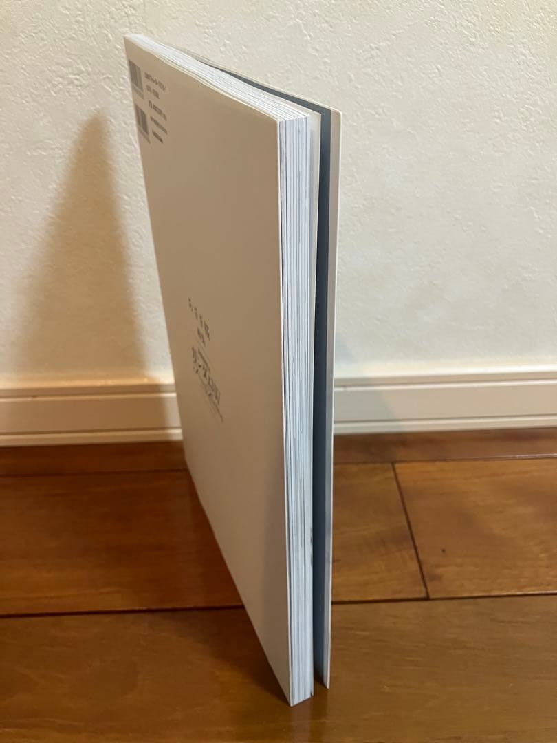 あさぎ桜　画集 新機動戦記ガンダムW フローズン・ティアドロップ