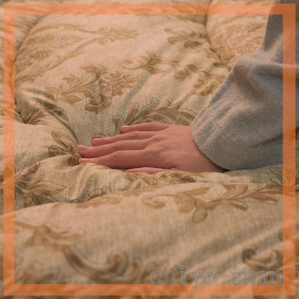 【２枚】モリリン ほこりが出にくい カーボンホット 掛けふとん＜シングル＞ブルー