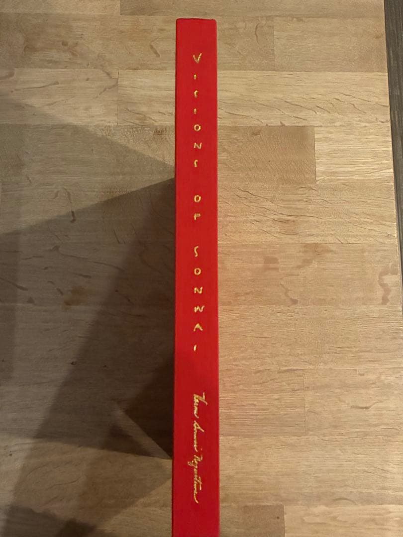 直筆サイン入り　Visions of Sonwai ハードカバー アートブック