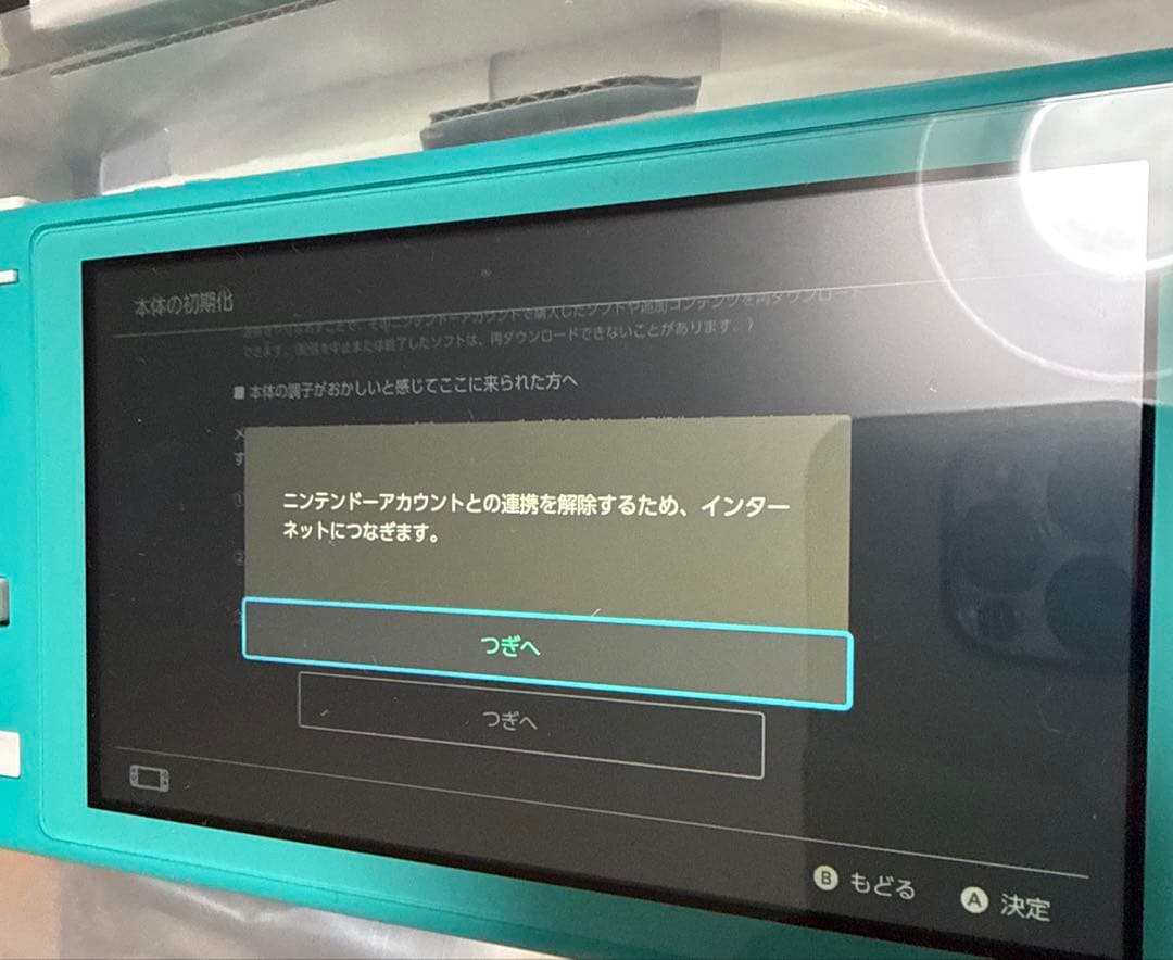Nintendo Switch Lite ターコイズ 本体　ケース　箱付
