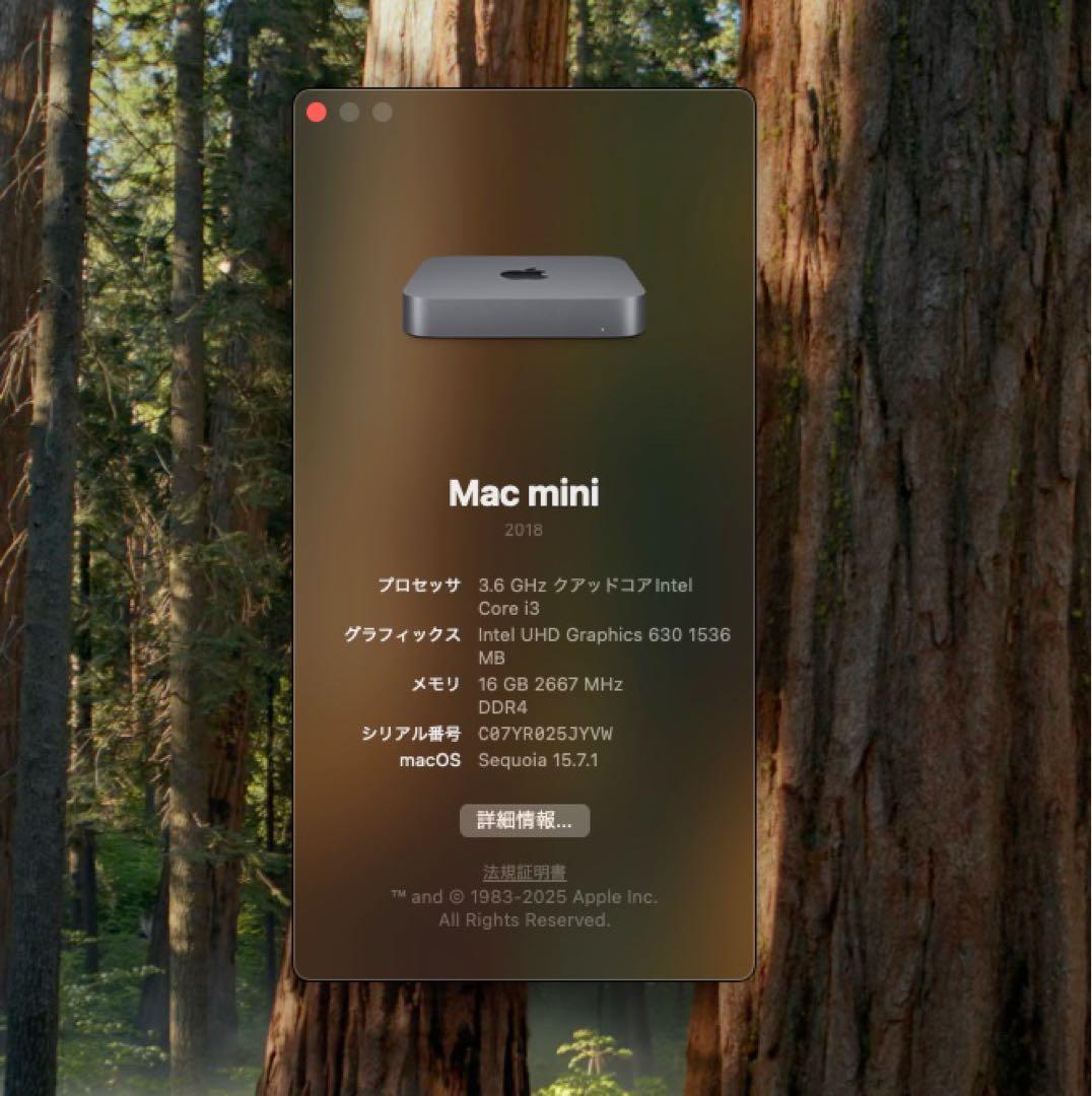 Apple Mac mini スペースグレー 本体 2018