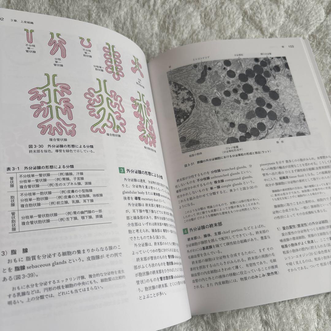 標準組織学 各論・総論 第6版 【セット】