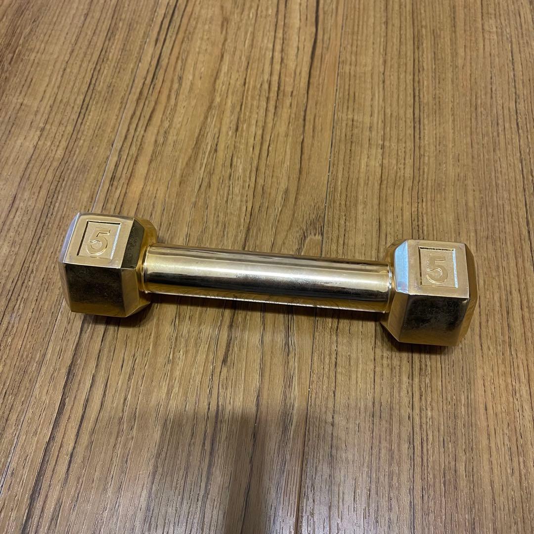 超希少！シュプリーム Supreme Plated Dumbbell ダンベル