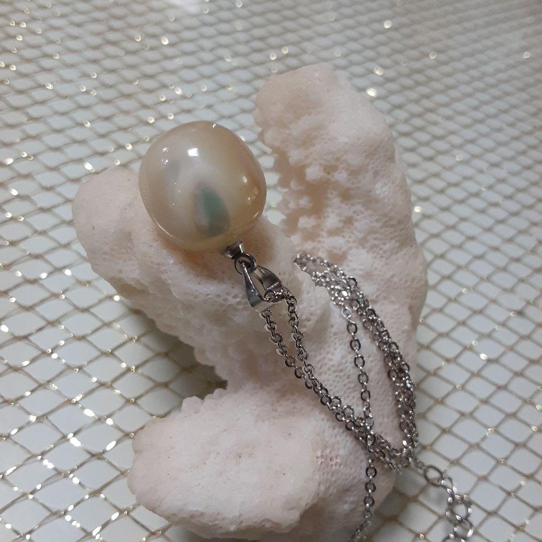 夜光貝　(6点おまとめ/ペロちゃん。❤︎お取り置き中)