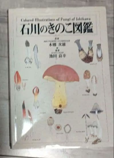 石川のきのこ図鑑