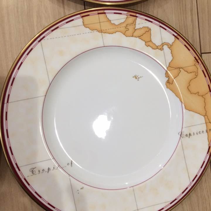 ★新品 リチャードジノリ ジォカルティン 26㎝ 6枚セット