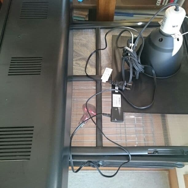 【英二さん専用】リクガメの飼育セット