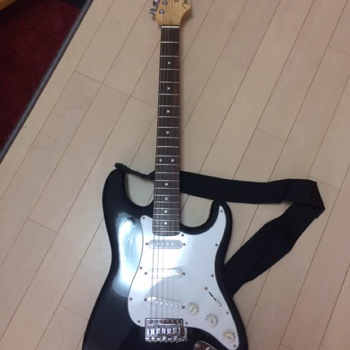 ギター本体と持ち運び便利なカバー付き